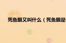 死鱼眼又叫什么（死鱼眼是什么样子的相关内容简介介绍）