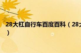 28大杠自行车百度百科（28大杠自行车是什么相关内容简介介绍）