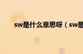 sw是什么意思呀（sw是什么梗相关内容简介介绍）