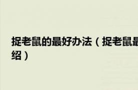 捉老鼠的最好办法（捉老鼠最有效又简单的方法相关内容简介介绍）