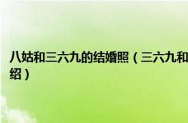 八姑和三六九的结婚照（三六九和八姑现实生活是真夫妻吗相关内容简介介绍）