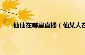 仙仙在哪里直播（仙某人在哪里直播相关内容简介介绍）