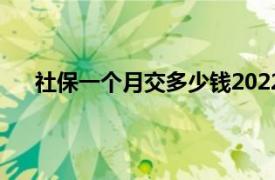 社保一个月交多少钱2022（社保一个月交多少2021）