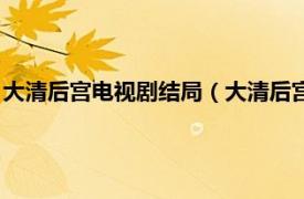 大清后宫电视剧结局（大清后宫的结局是什么相关内容简介介绍）