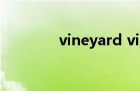 vineyard vines是什么牌子