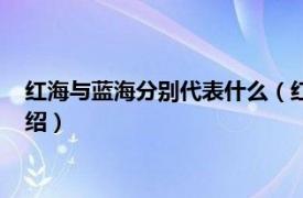 红海与蓝海分别代表什么（红海和蓝海各指什么相关内容简介介绍）