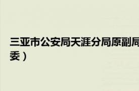 三亚市公安局天涯分局原副局长（吴健 三亚市公安局天涯分局政委）