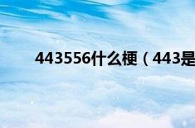 443556什么梗（443是什么梗相关内容简介介绍）