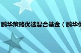 鹏华策略优选混合基金（鹏华优质治理混合型证券投资基金LOF）