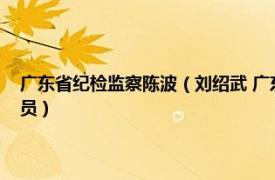 广东省纪检监察陈波（刘绍武 广东省纪委第五纪检监察室副处级纪检监察员）