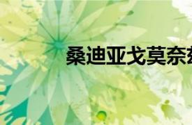 桑迪亚戈莫奈兹（桑迪莫里斯）