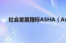 社会发展指标ASHA（Asha 美国社会卫生组织指标）