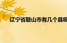 辽宁省鞍山市有几个县级市（鞍山 辽宁省辖地级市）