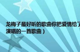 龙梅子最好听的歌曲你把爱情给了谁（你把爱情给了谁 歌手龙梅子和王强演唱的一首歌曲）