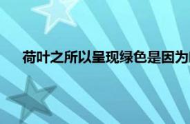 荷叶之所以呈现绿色是因为叶片细胞中含有（荷叶之所以）