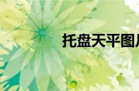 托盘天平图片（托盘天平）