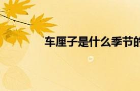 车厘子是什么季节的水果（车厘子是什么）