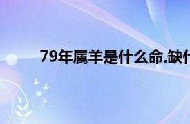 79年属羊是什么命,缺什么（79年属羊是什么命）