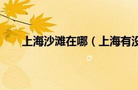 上海沙滩在哪（上海有没有沙滩相关内容简介介绍）