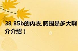 38 85b的内衣,胸围是多大啊（38b的内衣是多大胸围相关内容简介介绍）