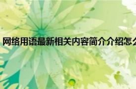 网络用语最新相关内容简介介绍怎么写（网络用语最新相关内容简介介绍）