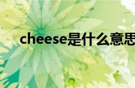 cheese是什么意思中文翻译是什么意思