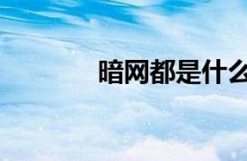 暗网都是什么（暗网指什么）