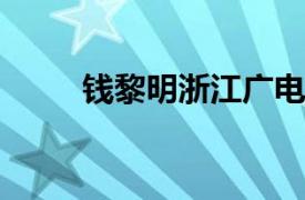 钱黎明浙江广电集团新蓝网总编辑