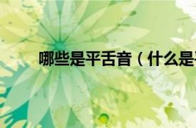 哪些是平舌音（什么是平舌音相关内容简介介绍）