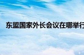 东盟国家外长会议在哪举行（中国—东盟10 1外长会议）