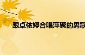 跟卓依婷合唱萍聚的男歌手（萍聚 卓依婷演唱歌曲）