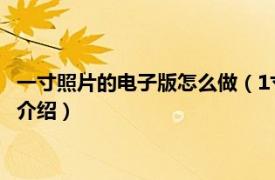 一寸照片的电子版怎么做（1寸照片电子版怎么制作相关内容简介介绍）