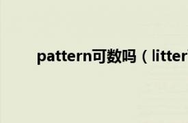 pattern可数吗（litter可数吗相关内容简介介绍）