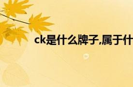 ck是什么牌子,属于什么档次（ck是什么牌子）