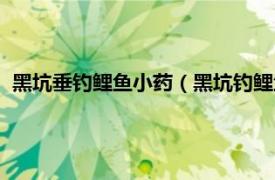 黑坑垂钓鲤鱼小药（黑坑钓鲤鱼用什么小药相关内容简介介绍）