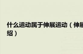 什么运动属于伸展运动（伸展运动指什么有哪些相关内容简介介绍）