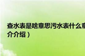 查水表是啥意思污水表什么意思（查水表是什么意思相关内容简介介绍）