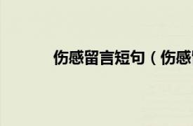 伤感留言短句（伤感留言相关内容简介介绍）