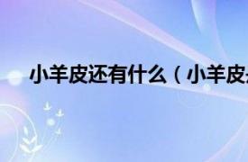 小羊皮还有什么（小羊皮是什么皮相关内容简介介绍）