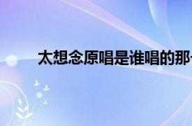 太想念原唱是谁唱的那一年的（太想念原唱是谁）