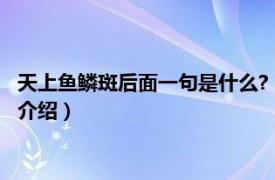 天上鱼鳞斑后面一句是什么?（天上鱼鳞斑的下一句相关内容简介介绍）