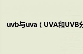 uvb与uva（UVA和UVB分别是什么相关内容简介介绍）