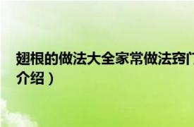 翅根的做法大全家常做法窍门（翅根的做法有哪些相关内容简介介绍）