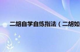 二胡自学自练指法（二胡如何练习指法相关内容简介介绍）