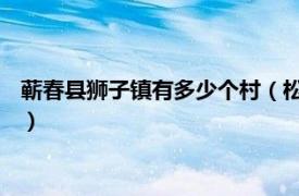 蕲春县狮子镇有多少个村（松树林村 湖北省蕲春县狮子镇下辖村）