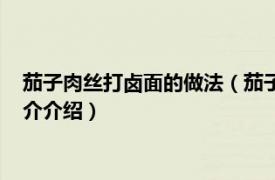 茄子肉丝打卤面的做法（茄子肉丁打卤面的家常做法相关内容简介介绍）