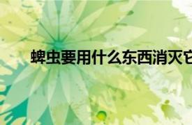 蜱虫要用什么东西消灭它（蜱虫要用什么东西消灭）