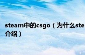 steam中的csgo（为什么steam上搜csgo是免费的相关内容简介介绍）