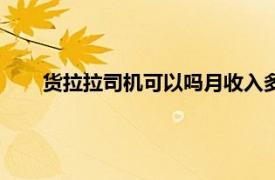 货拉拉司机可以吗月收入多少（货拉拉司机收入怎么样）