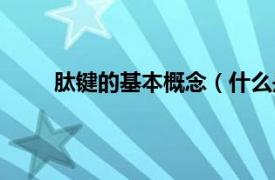 肽键的基本概念（什么是肽键相关内容简介介绍）